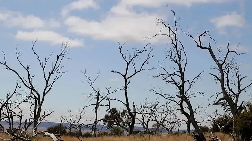 Award winning Snowy Monaro doco to screening in region