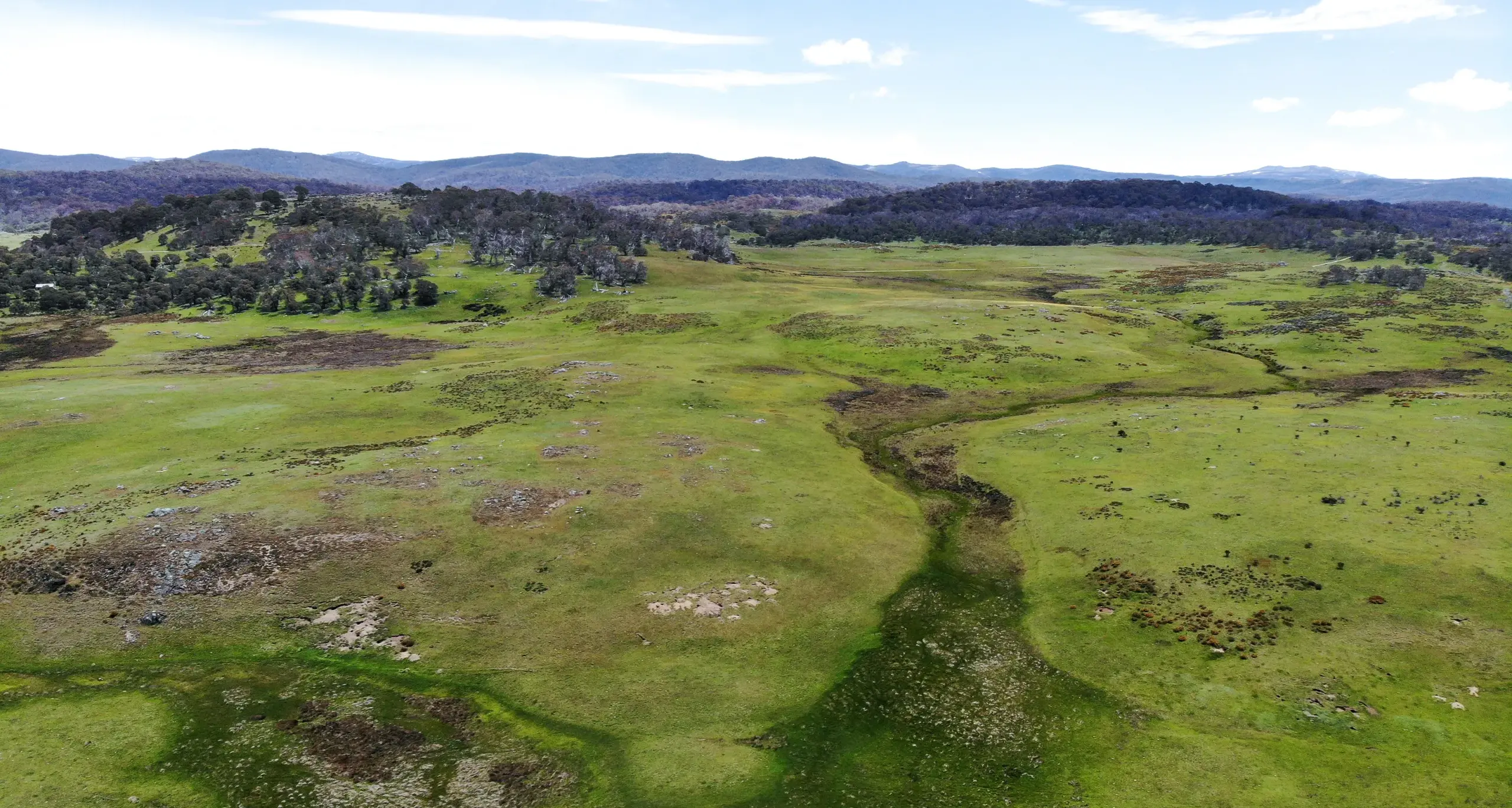 Monaro high country opportunity in a tightly held district