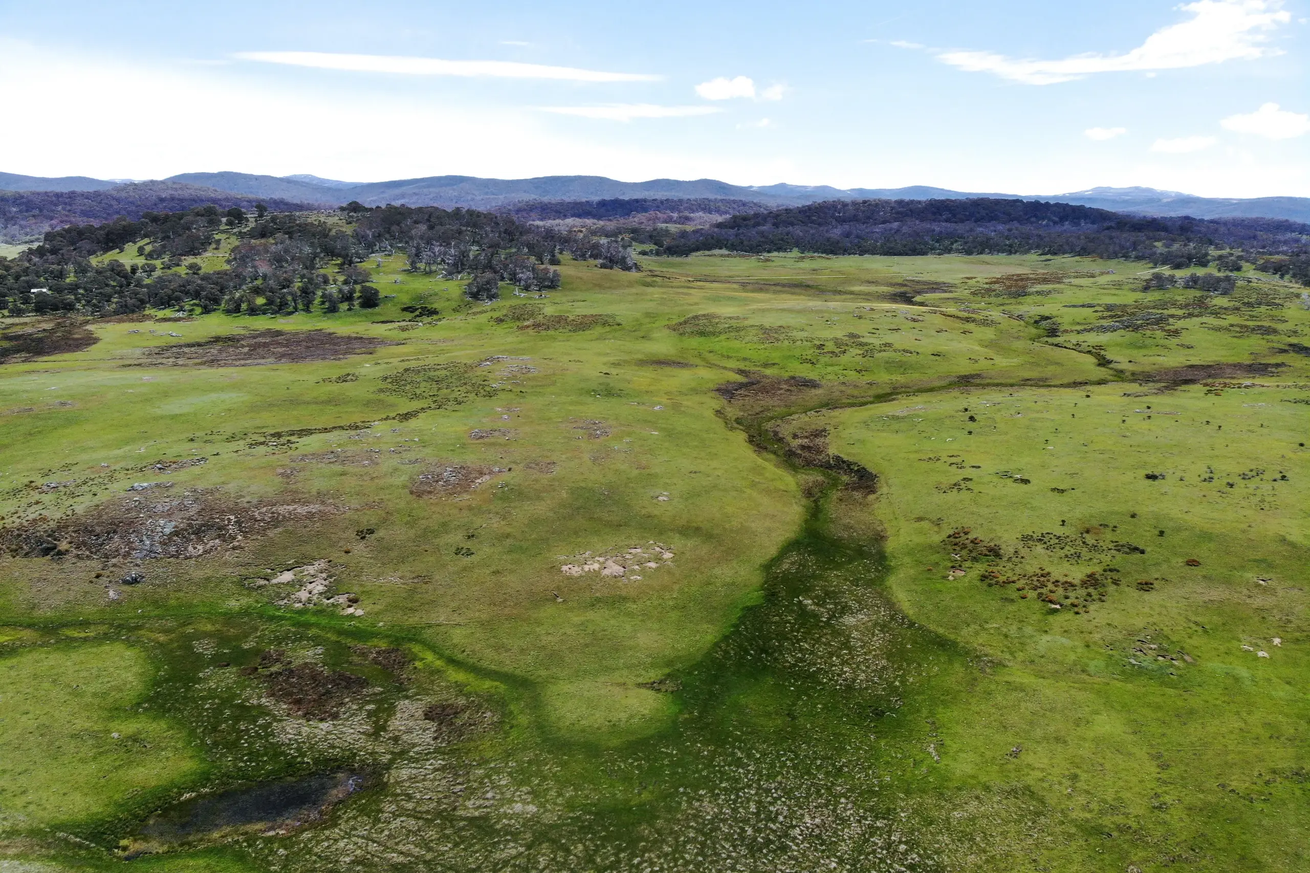 Monaro high country opportunity in a tightly held district