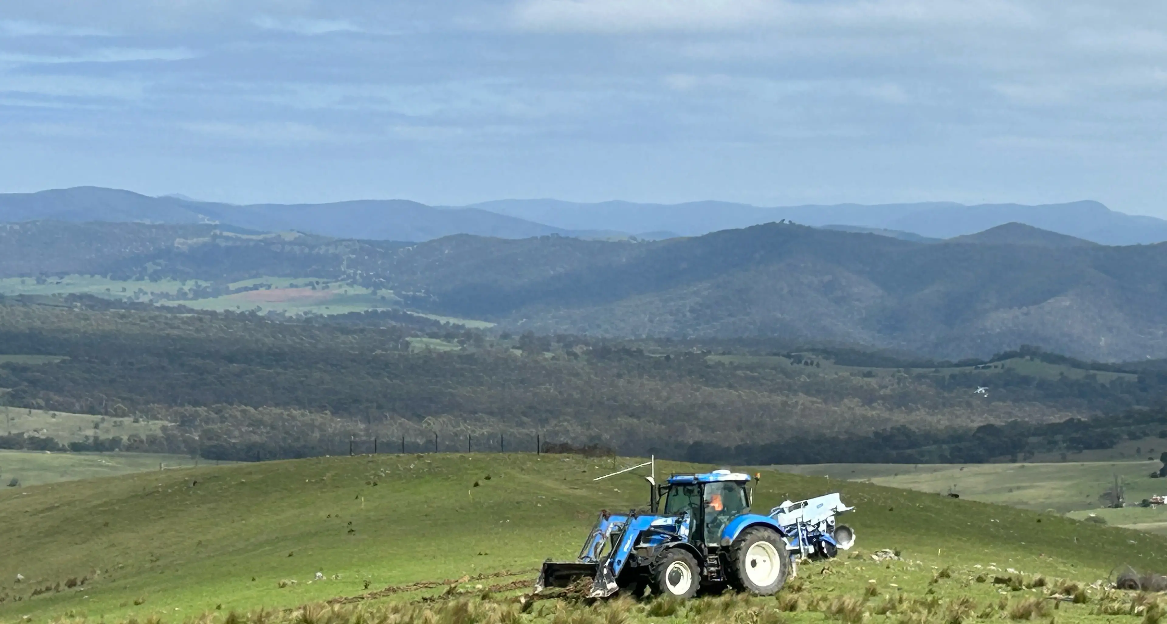 Bringing koalas back to Bombala’s farming district
