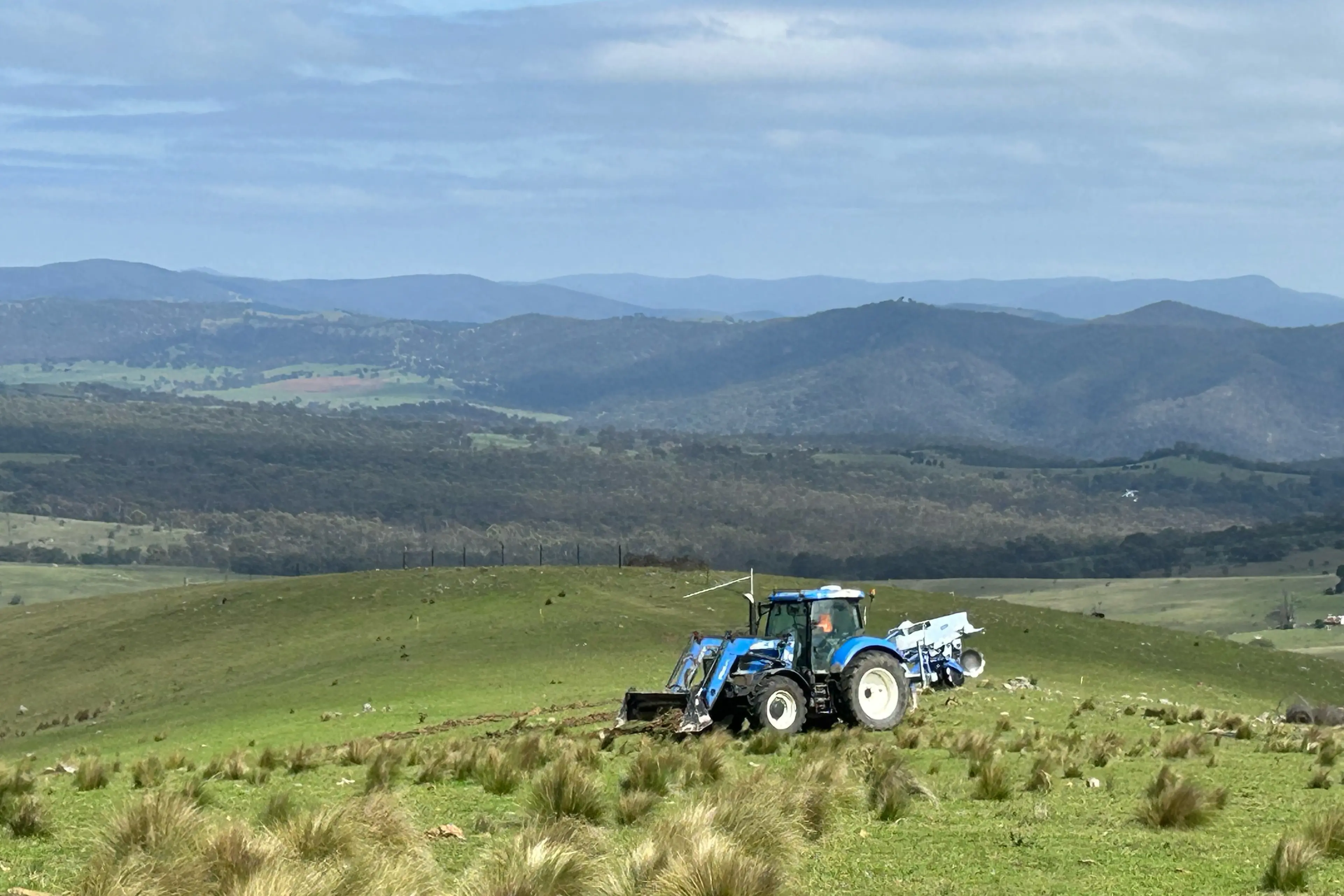 <p>FARMING: Sheep farmer, Mark Mills, has a visionand teams up with the Koala Friendly Carbon Initiative to bring Koala\\u2019s back to the Bombala farming district, while earning extra income at the same time. PHOTO: Supplied </p>\\n