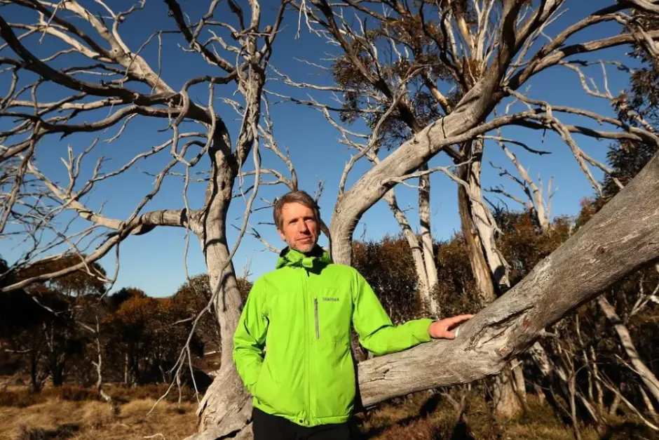 <p>RESEARCH: Dr Matthew Brookhouse, from the Australian National University, is a leading\\u00A0expert on native long-horned beetle behind the snow gum crisis. PHOTO: Nic Vevers, ANU</p>\\n