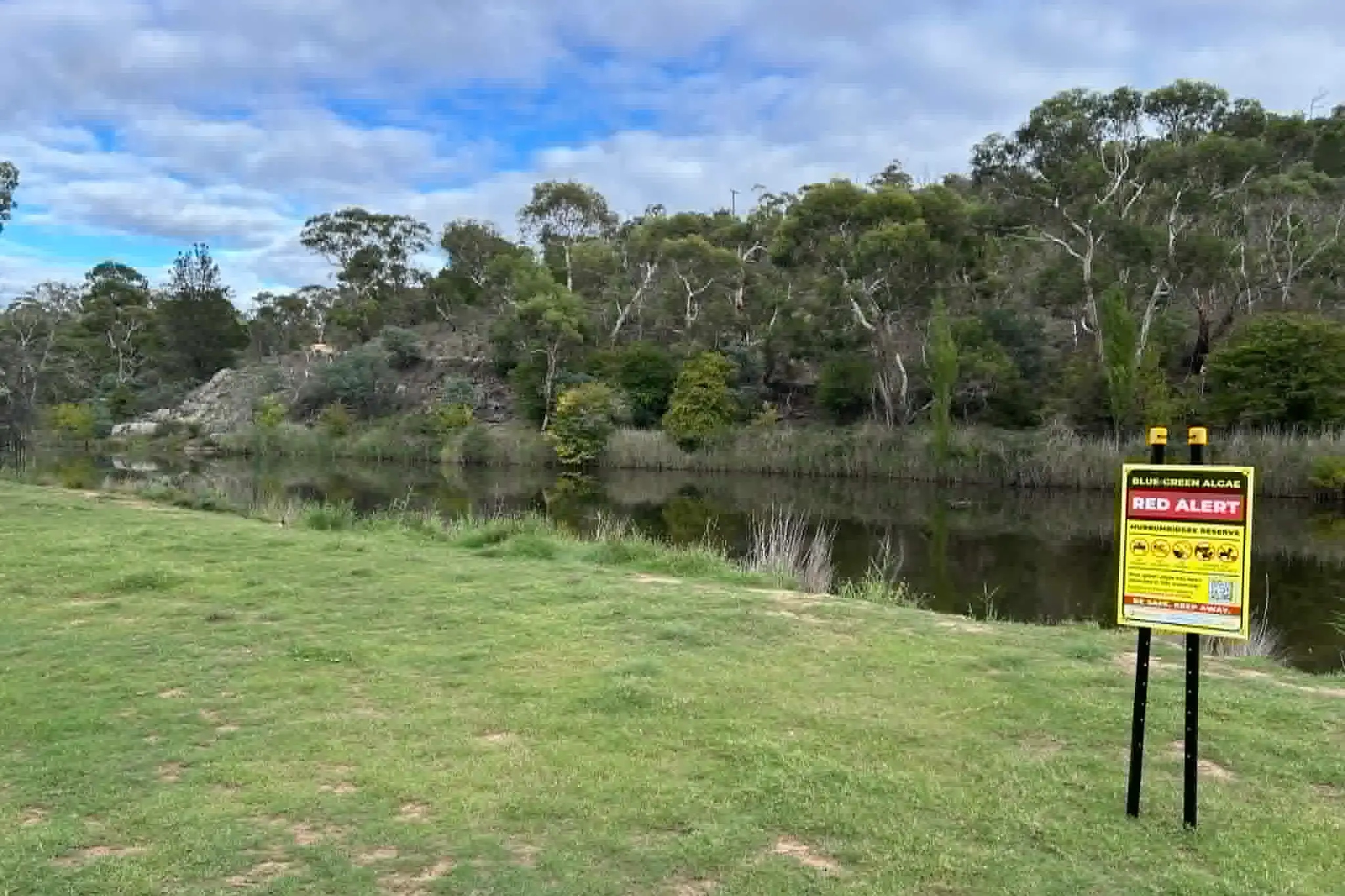 <p>ALERT: There are high levels of potentially toxic blue-green algae in the Murrumbidgee River. PHOTO: Melinda Cairns Hack</p>\\n
