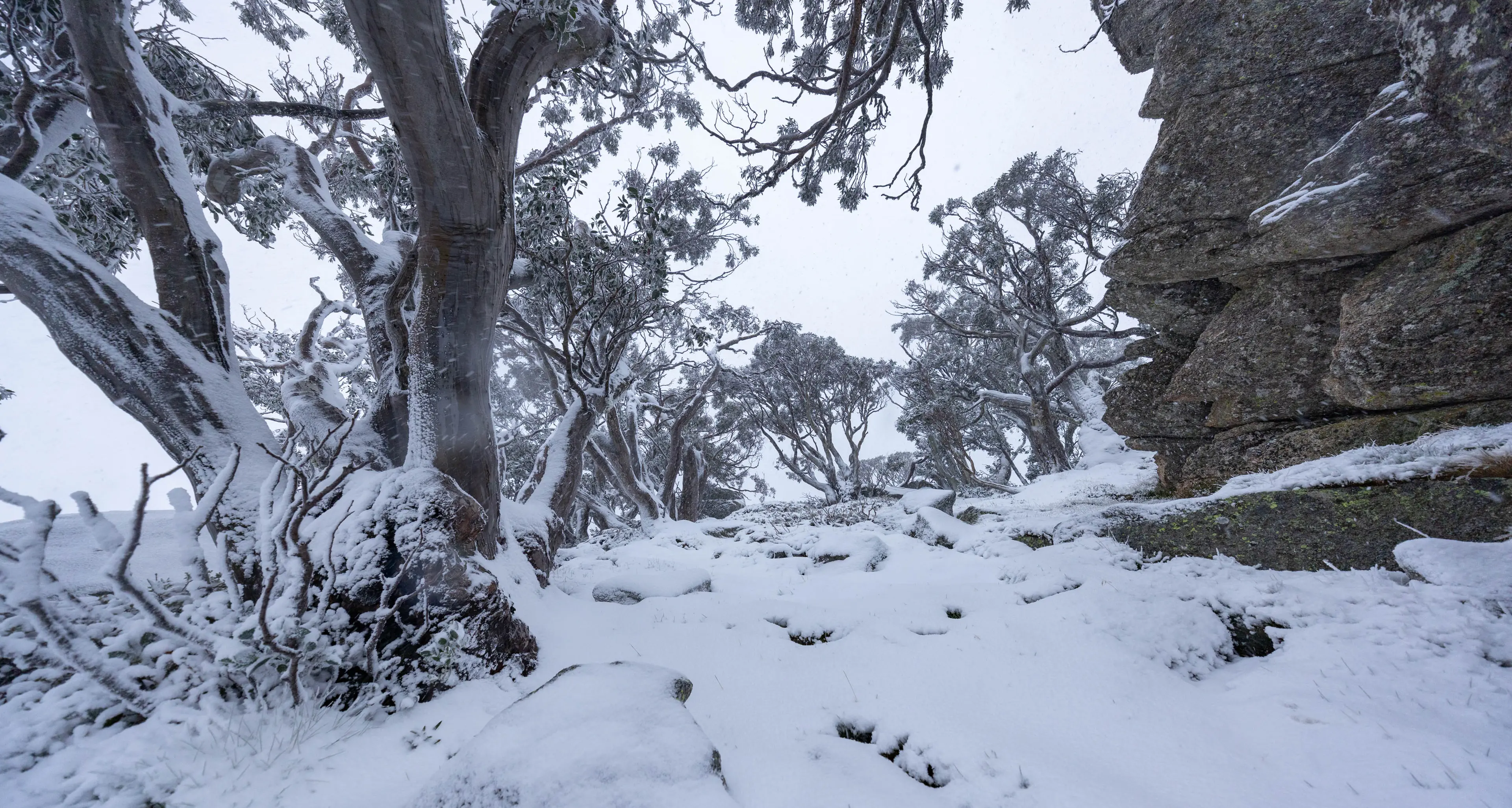 Wintery blast brings early snowfalls