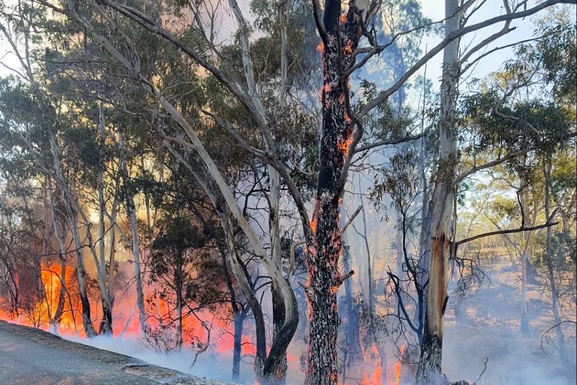 <p>ALERT: Despite the official summer fire danger period ending, the RFS is urging the community to stay vigilant. PHOTO: NSW RFS - Snowy Monaro District</p>\\n