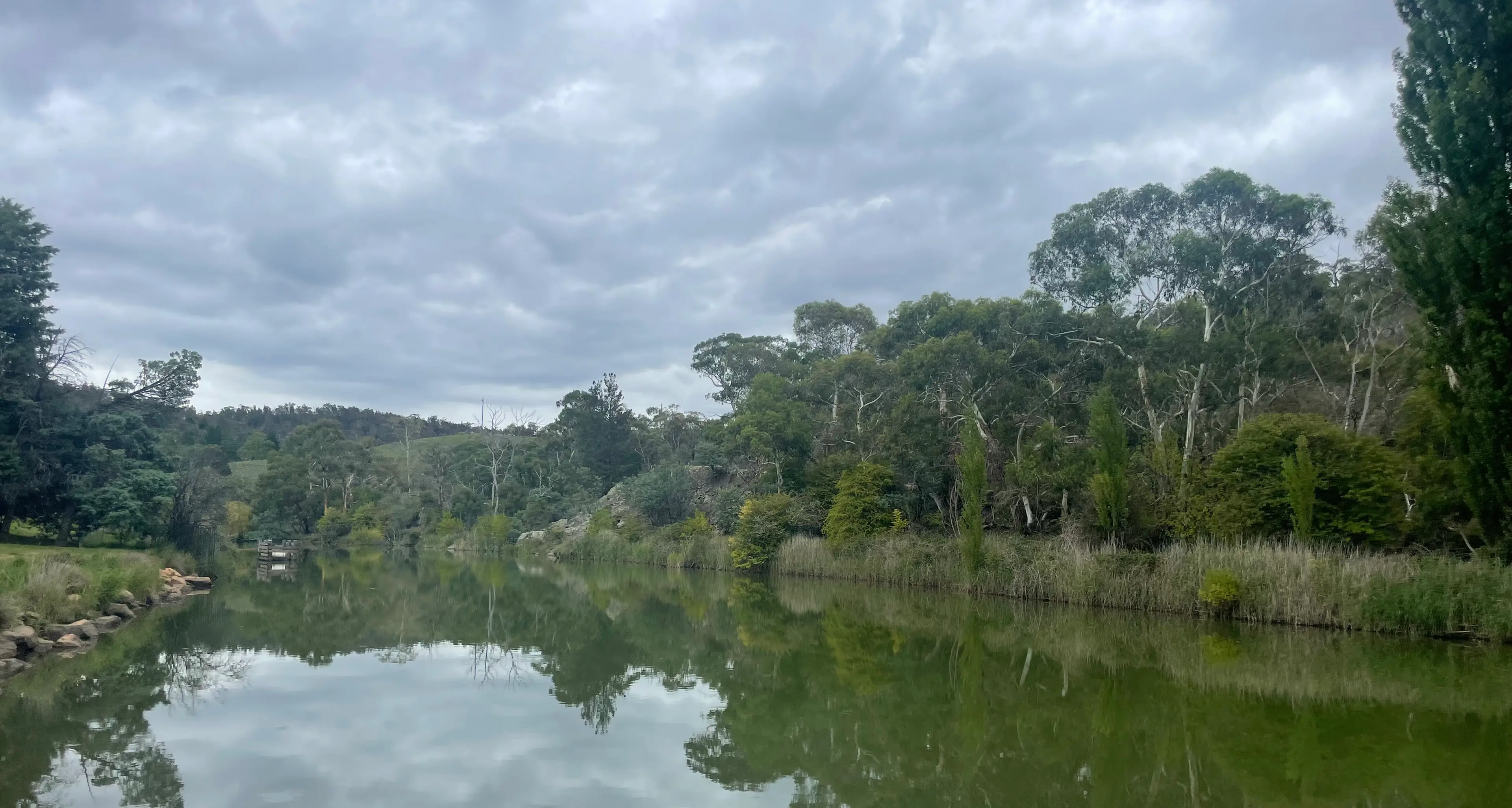 Murrumbidgee River blue-green algae alert downgraded