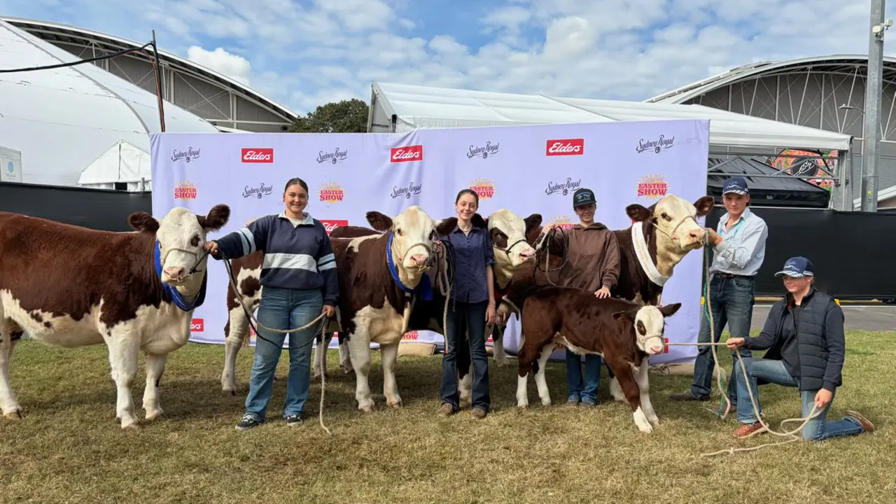 Snowy Monaro cattle studs enjoy Royal Easter Show success