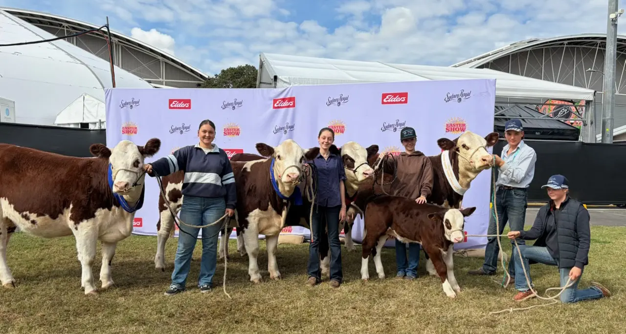 Snowy Monaro cattle studs enjoy Royal Easter Show success