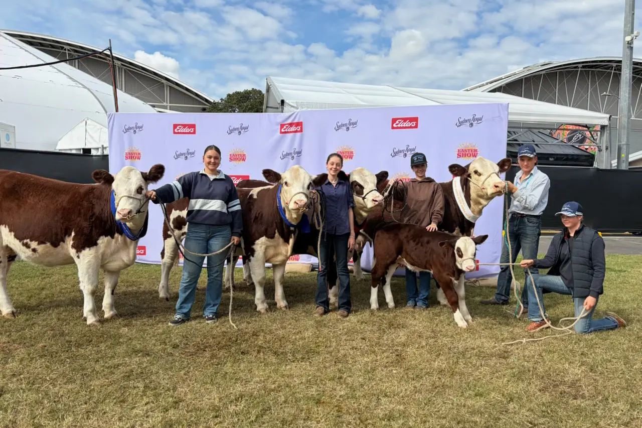 <p>ROYAL SUCCESS: The Kylo Herefords Stud team at the Sydney Royal Easter Show included Narooma High School students as handlers. PHOTO: Supplied</p>\\n