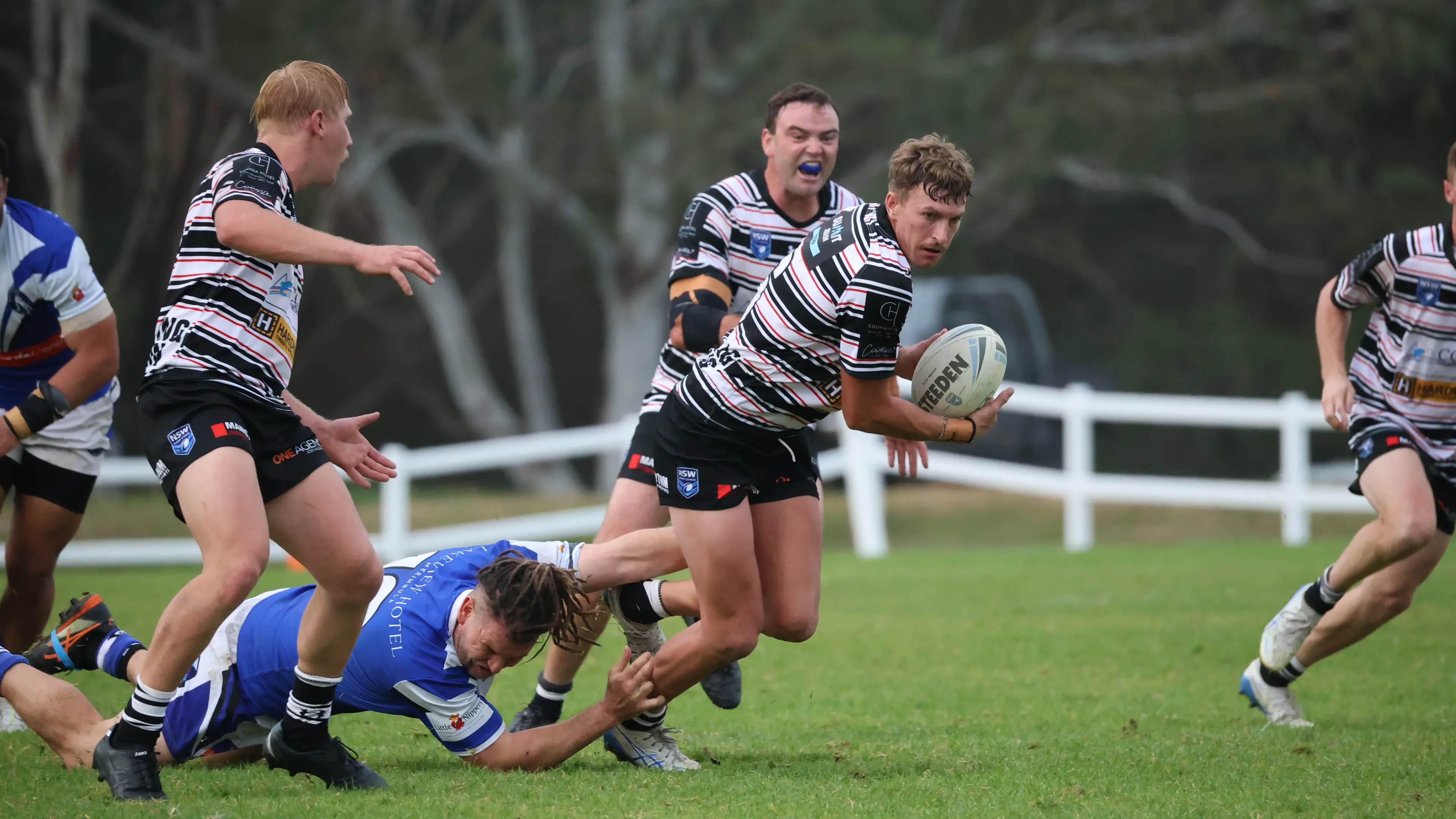 Improved showing for Cooma Stallions, Fillies