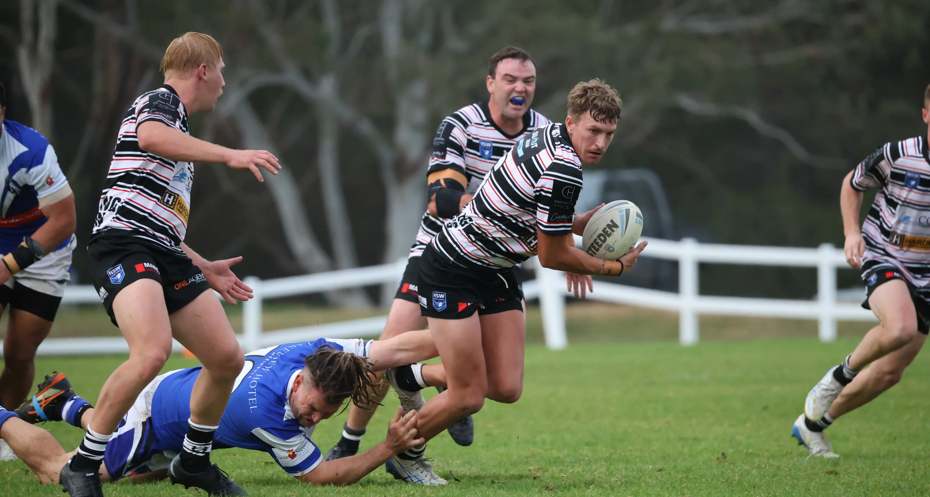 Improved showing for Cooma Stallions, Fillies