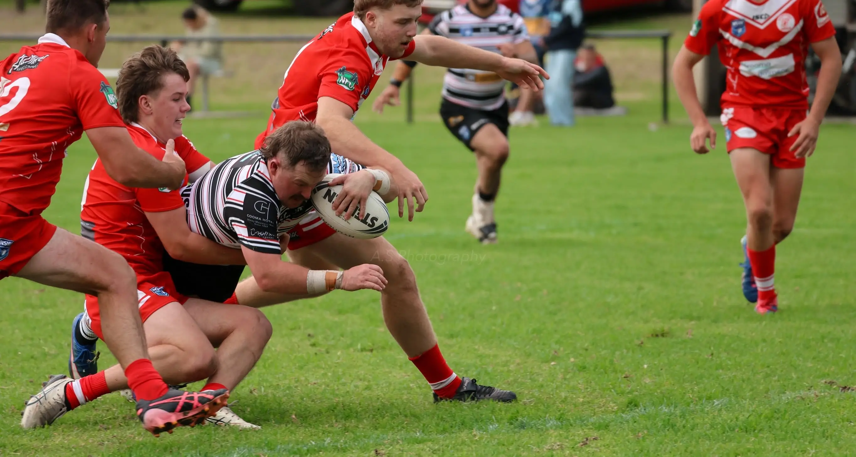 Cooma Stallions secure solid wins