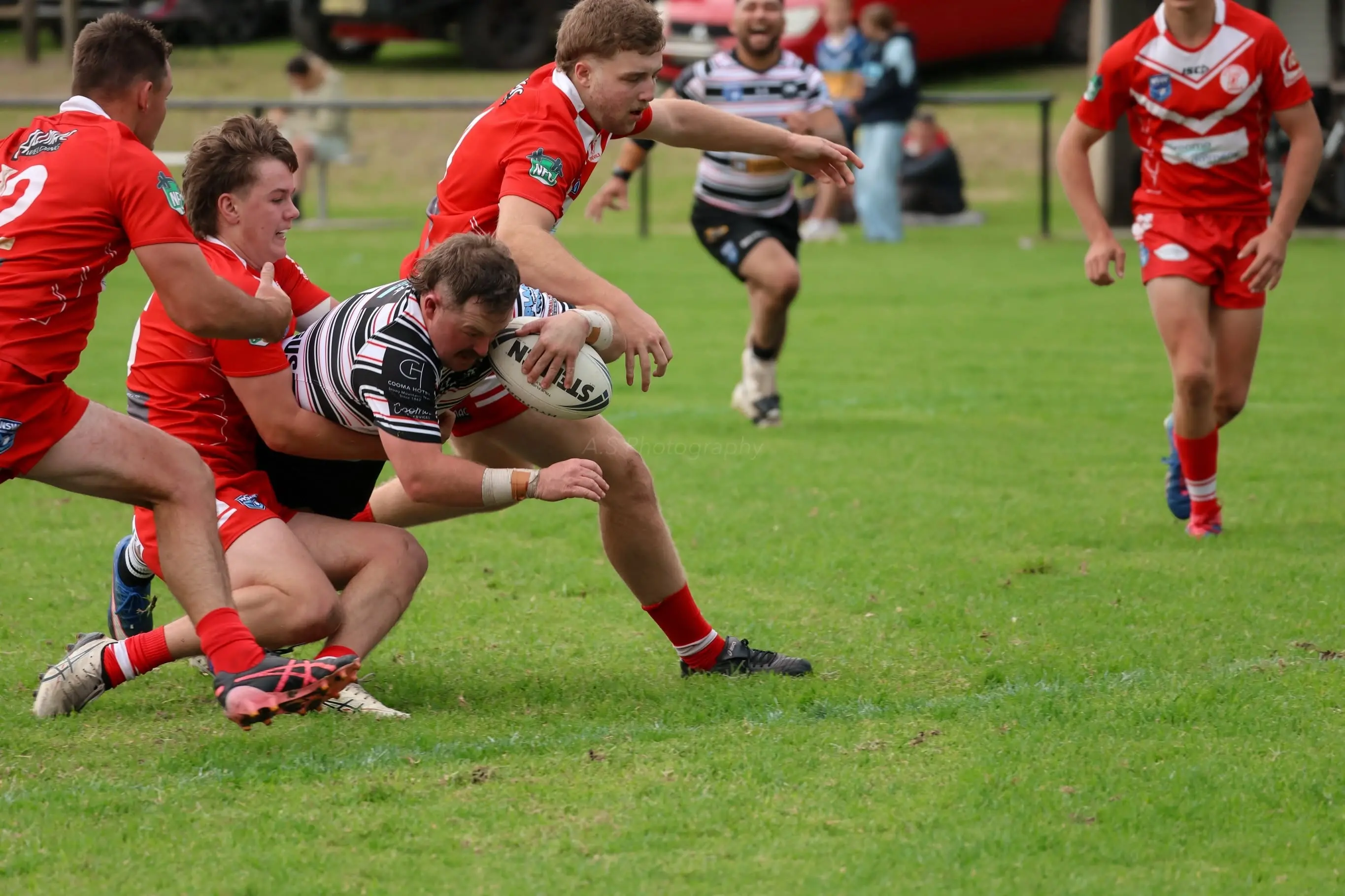 Cooma Stallions secure solid wins