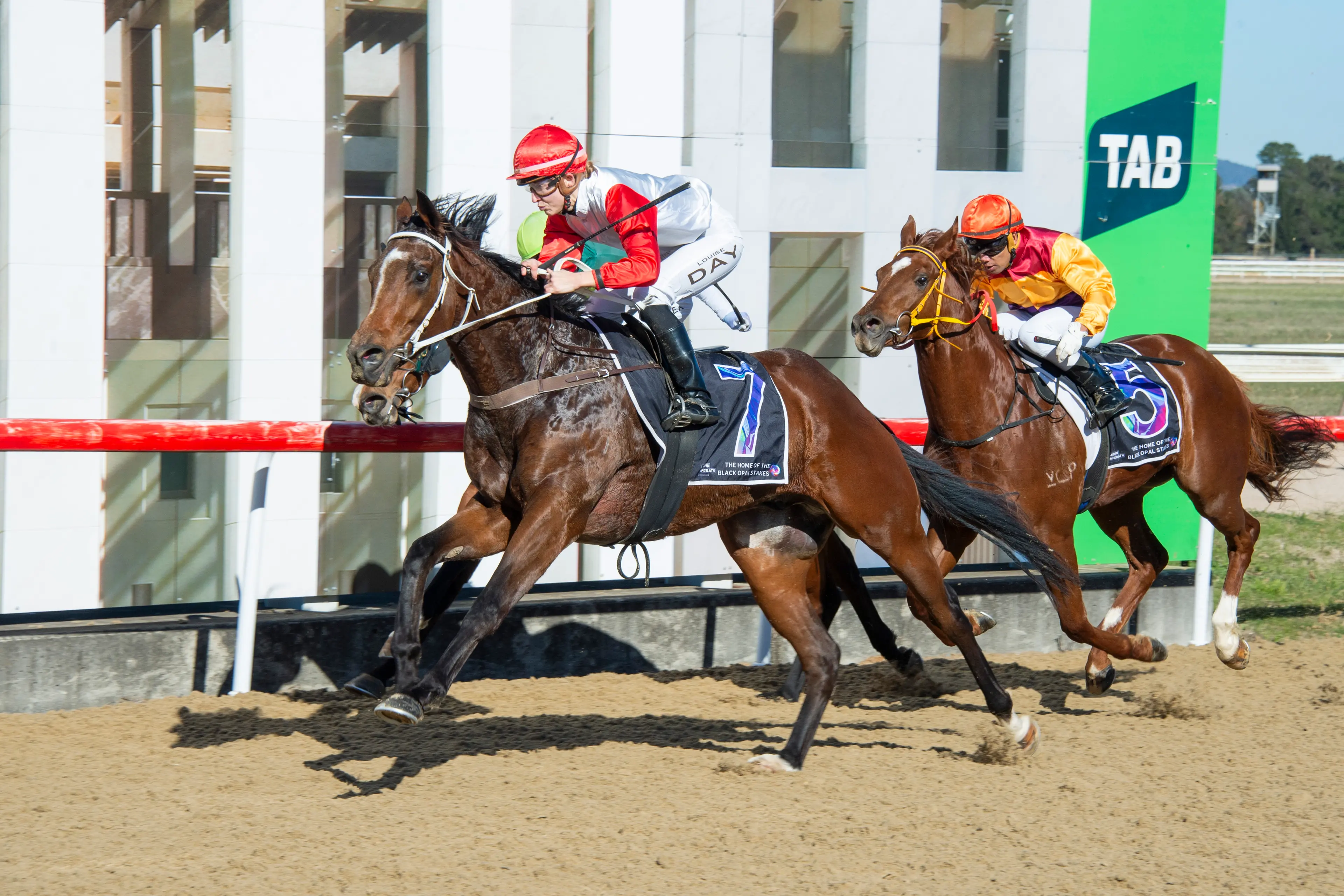 <p>WINNER: Flywire races to victory at Canberra last week for Cooma trainer, Matt Kelley. PHOTO: bradleyphotos.com.au</p>\\n