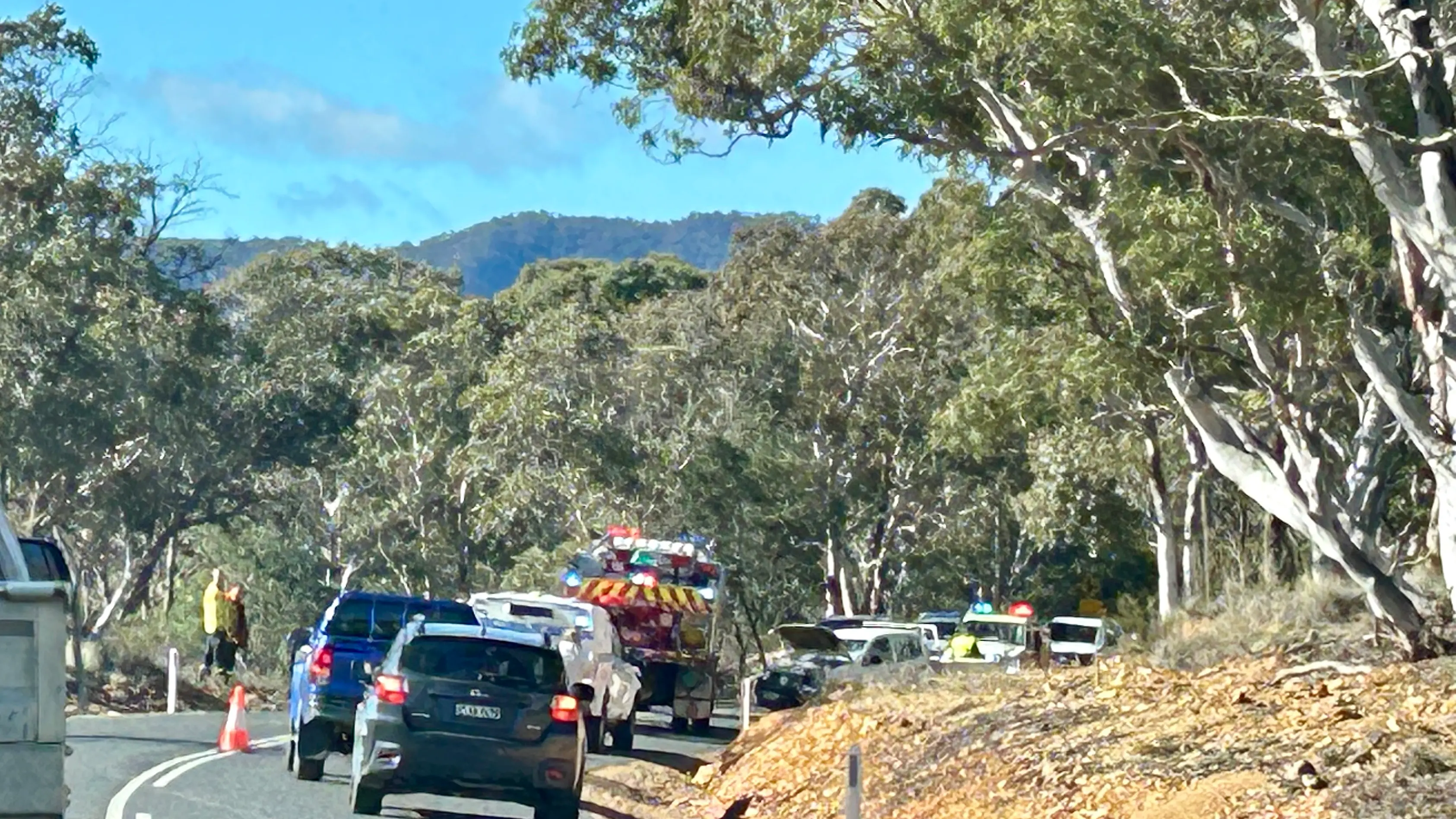 Multiple call-outs for emergency services