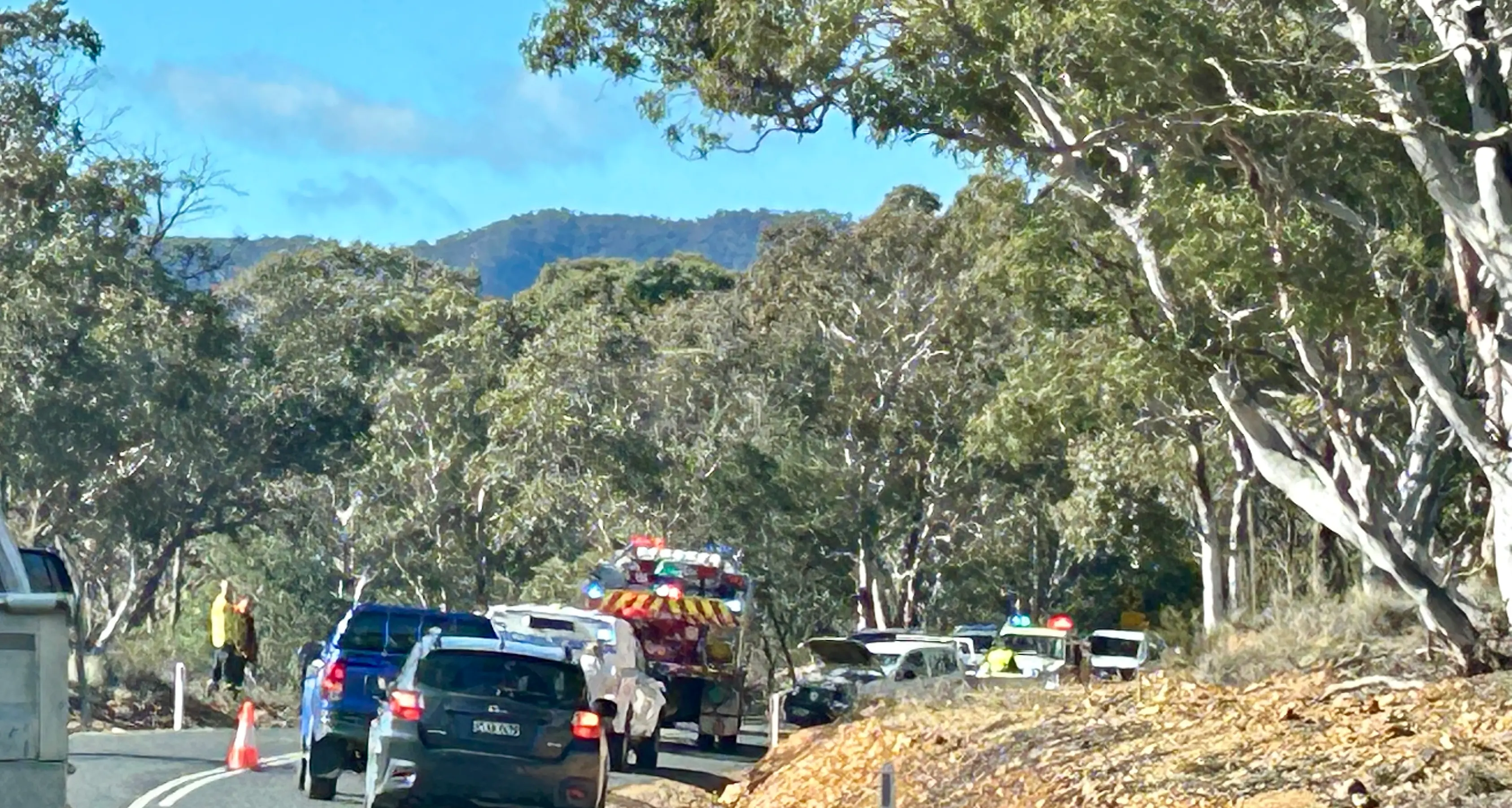 Multiple call-outs for emergency services