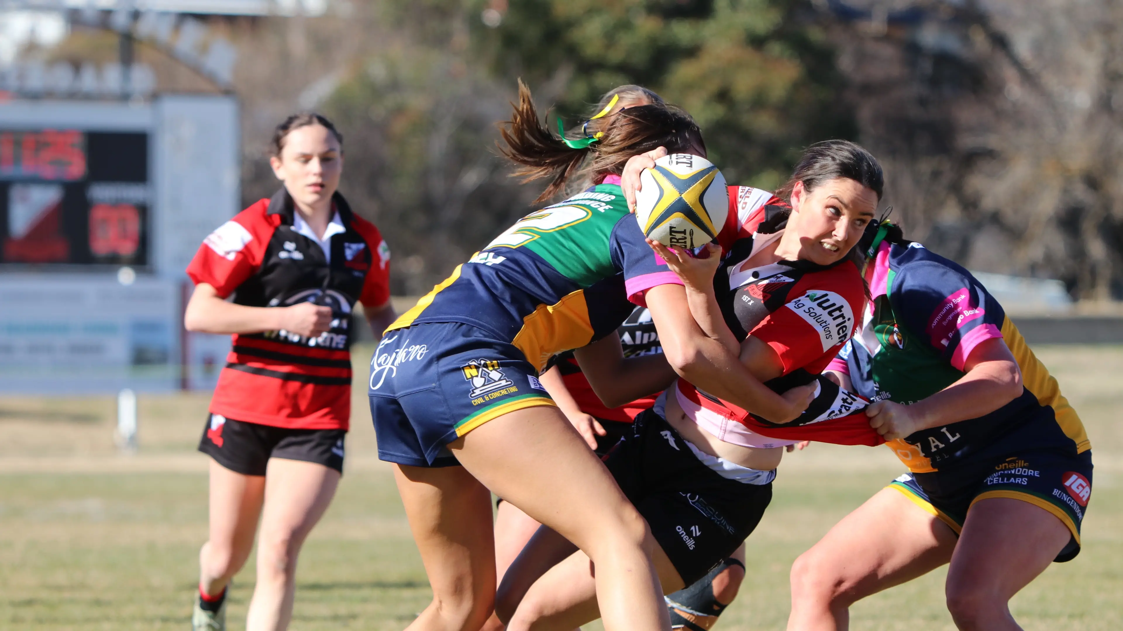 Grand final spots on line for Cooma, Jindabyne rugby union sides