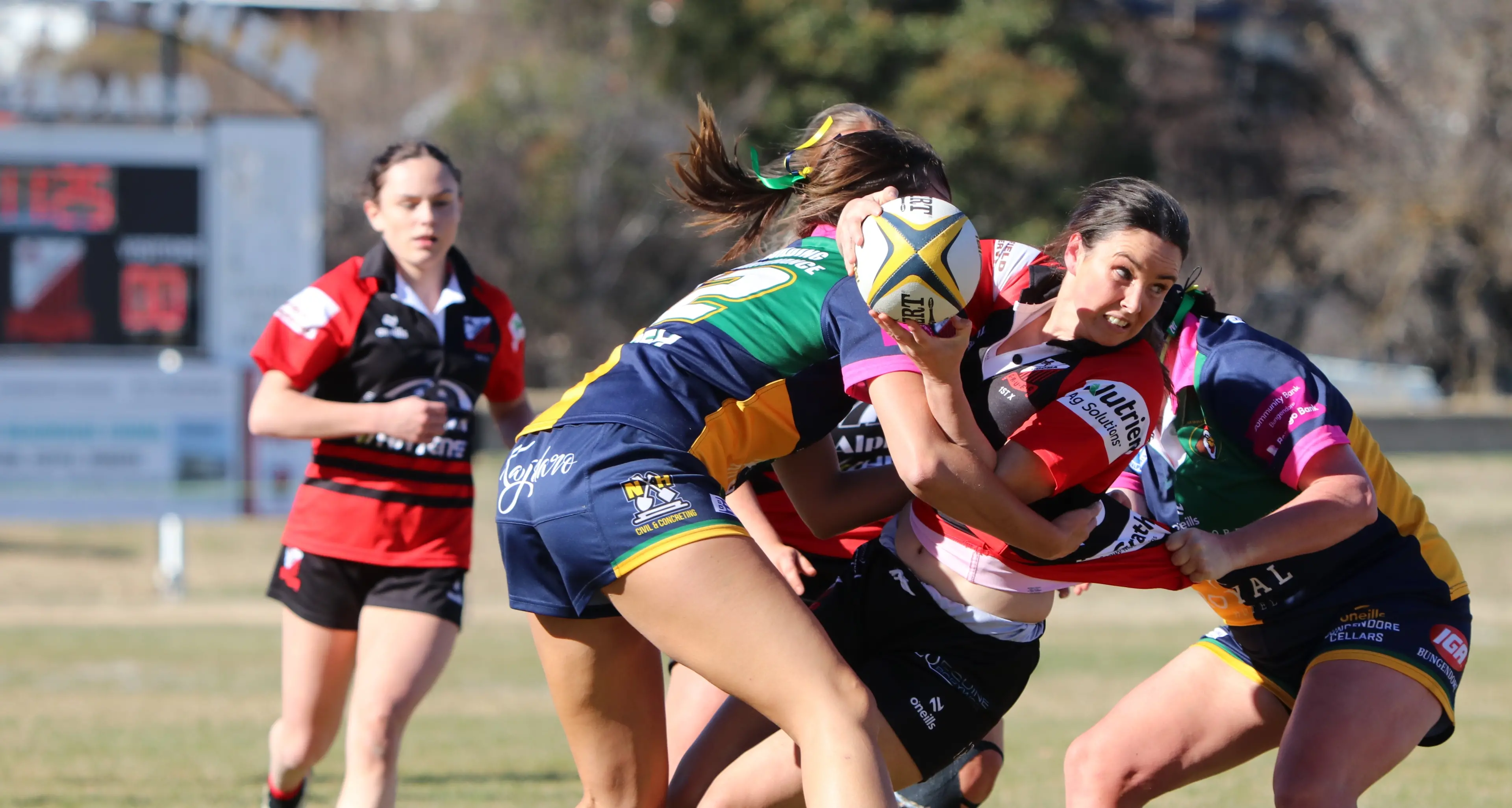 Grand final spots on line for Cooma, Jindabyne rugby union sides