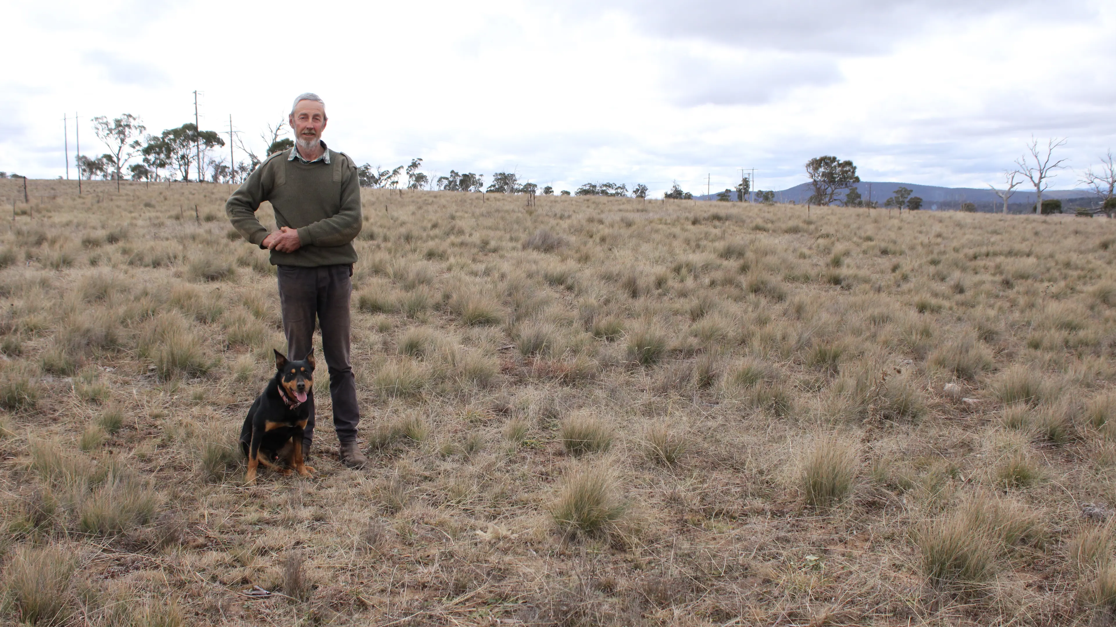 Snowy Monaro landholders action over native vegetation maps