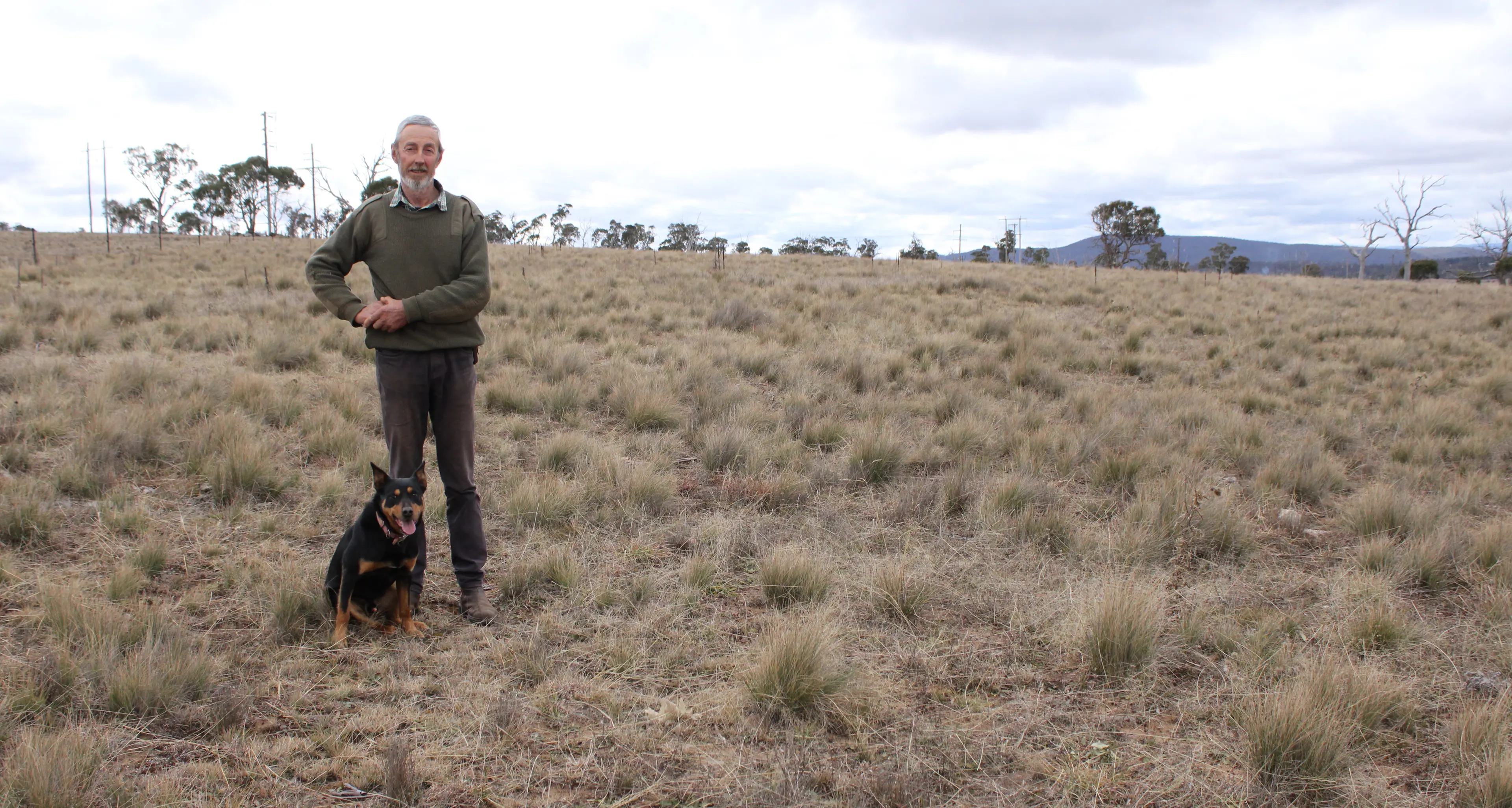 Snowy Monaro landholders action over native vegetation maps