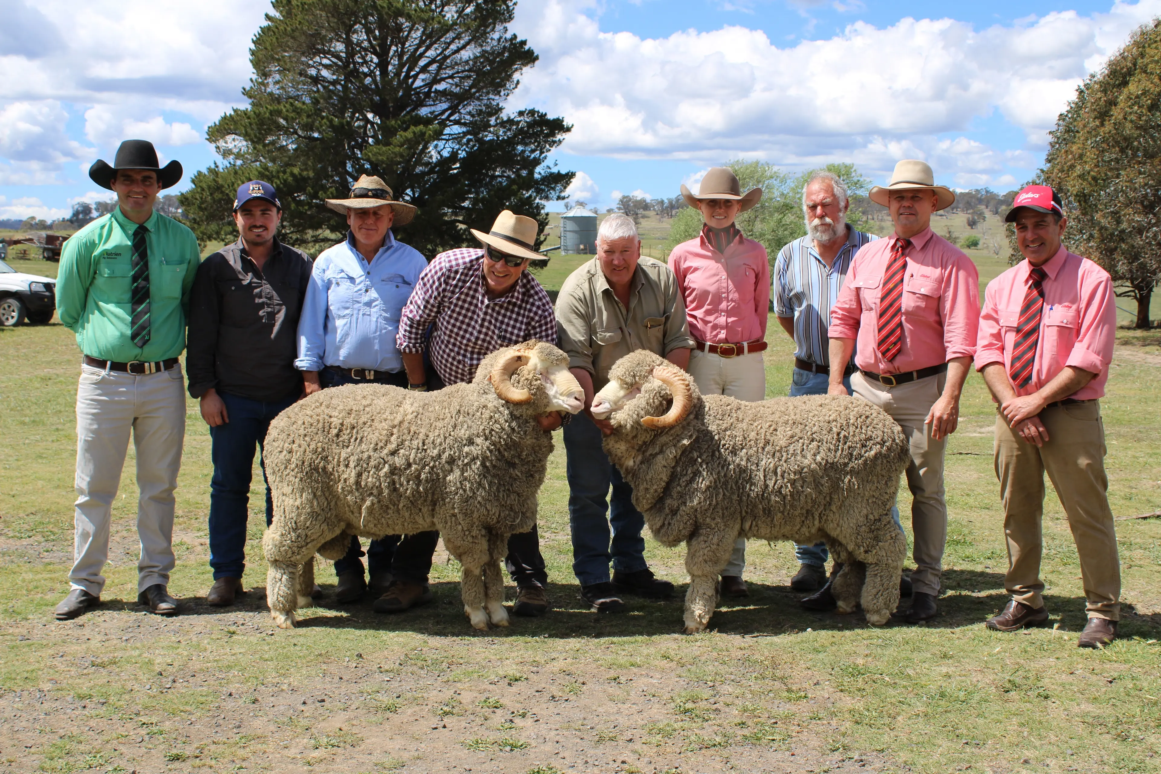 <p>GENETICS: The two top-priced sheep at the 26th Adina Merino ram sale with (from left) Damien Roach, Nutrien Cooma; Andrew Platts, Bombala; Lionel Platts, Bombala; James Barron, Adina principal; Malcom Day, Yass; Gem McGufficke, Elders Cooma; Ian Greenwood, Yass; Jason Pearce, Elders Mudgee; and Sam Green, Elders Cooma. PHOTO: Melinda Cairns Hack</p>\\n