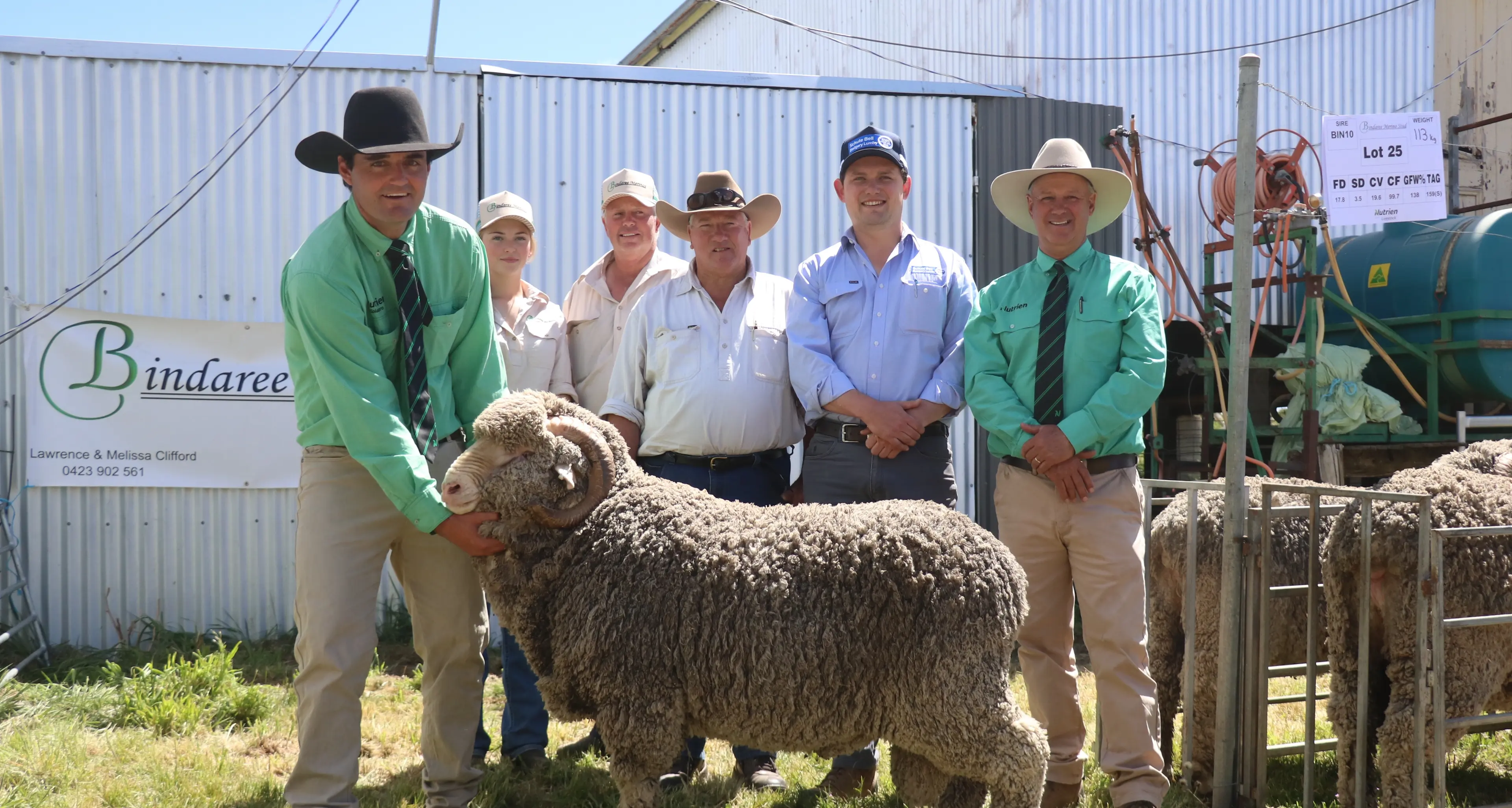 Cliffords proud of Bindaree rams